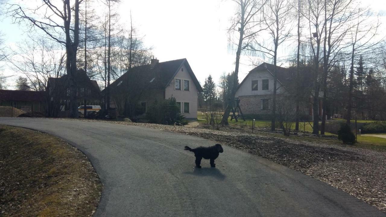 Holiday Home Ermine 斯伽尔达 外观 照片
